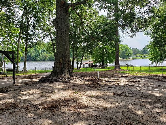 View from Back Porch