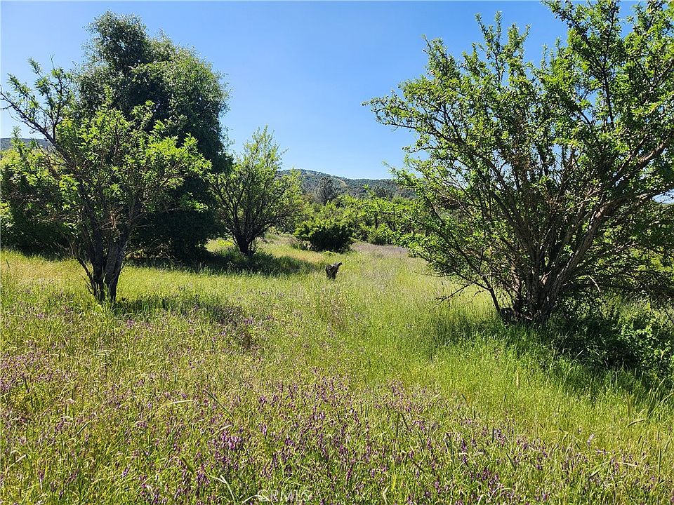 2nd image of 14241 McBride Ct