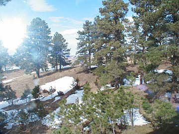 1st image of 11981 Ponderosa Ln
