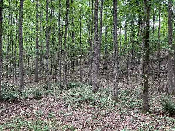 0 Brewers Bridge Rd, Elberton, GA 30635