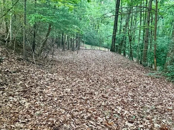 Tbd Lot 43 Pine Cove Lane, Murphy, NC 28906