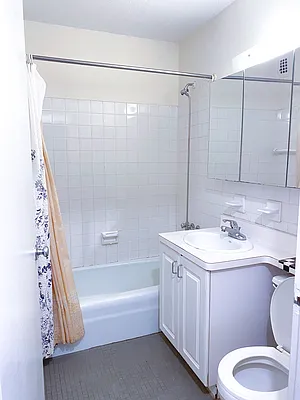 Rented by ONE Manhattan Real Estate | media 17