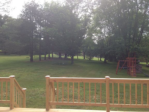 Back yard 