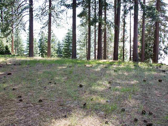5th image of 851 Lassen View Dr
