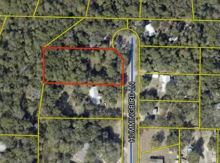 Hummingbird Ln, Freeport, FL 32439