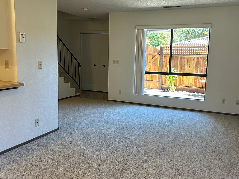 136 Peach Ter — Photo 11