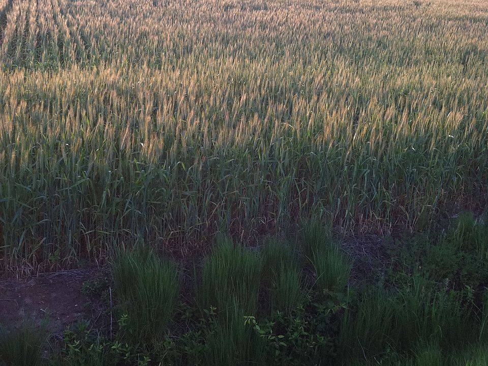 Home for Sale in Virginia Beach, Virginia $550,000