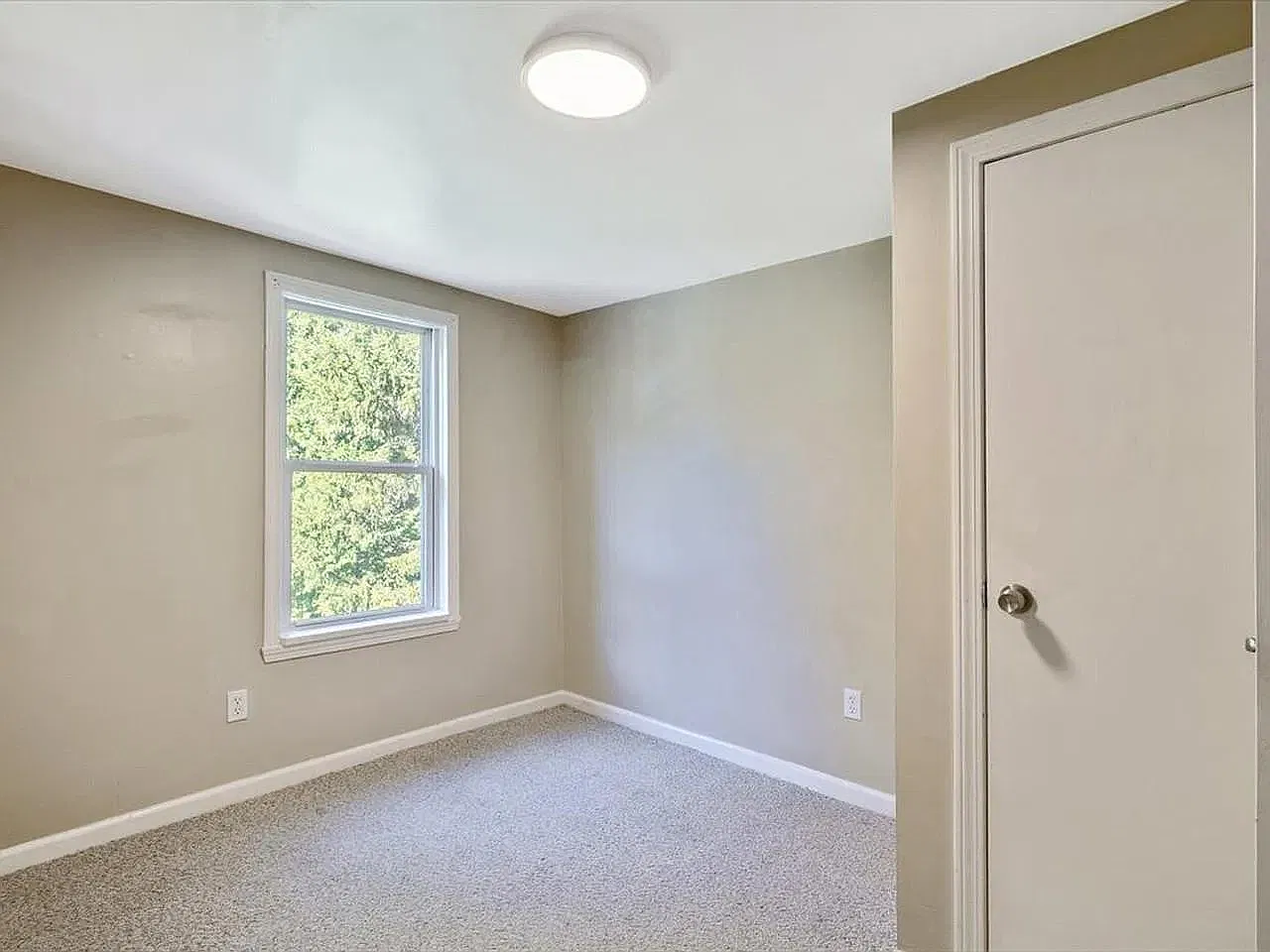 2 bed, 780 sqft, $2,000 — Photo 4