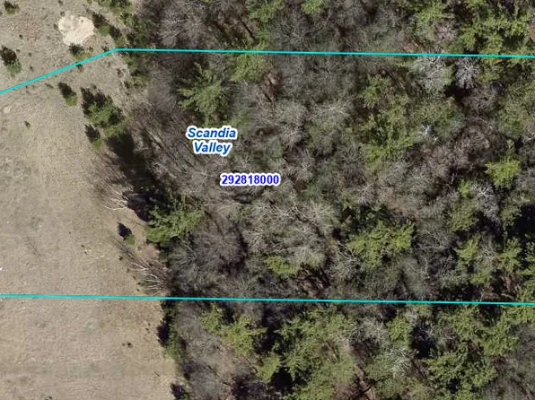 Telemark Trl, Cushing, MN 56443