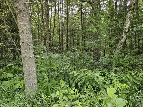 L044-011 Yeaton Swamp Road, Oxford, ME 04270