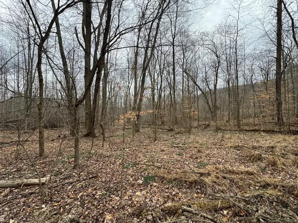 0 Hardwood Rd, Wallingford, KY 41093