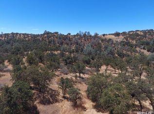 3222 Hormiga Ct, Coulterville, CA 95311