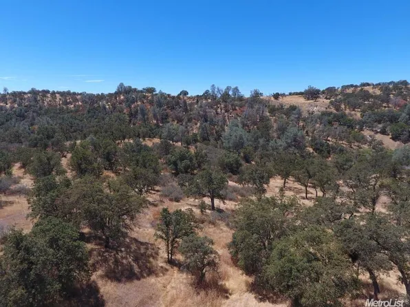 3222 Hormiga Ct, Coulterville, CA 95311