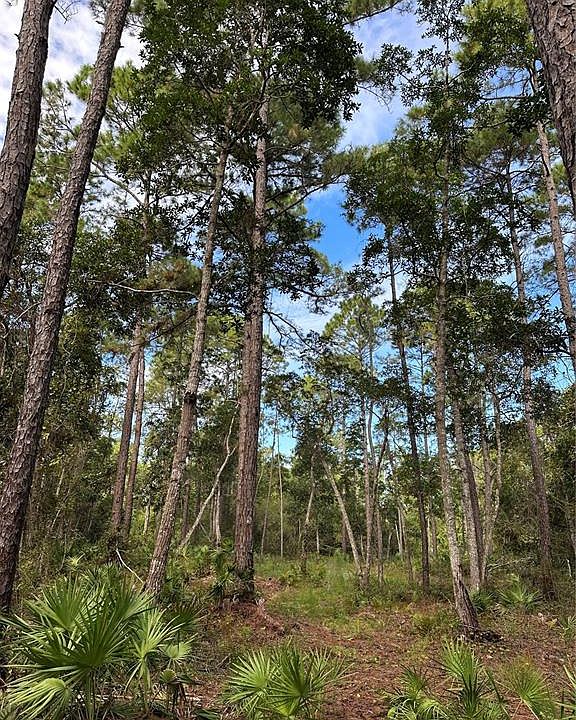 Harper Rd 42, Pierson, FL 32180 MLS V4932761 Zillow