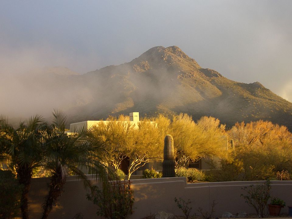 View from the patio