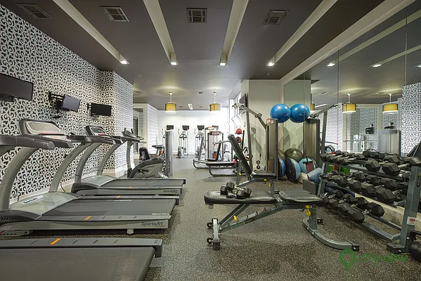 Rented by City View Living | media 77