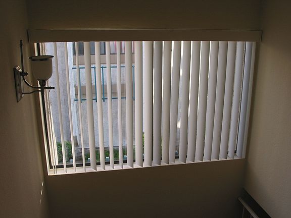 M Brm overlooks pool