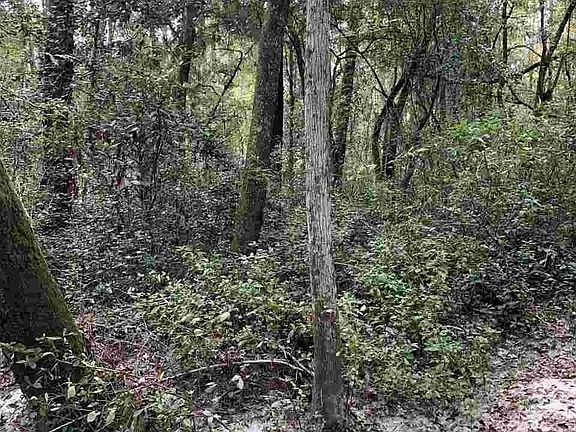 2nd image of 12251 River Creek Dr