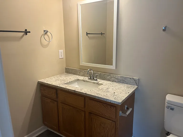 7229 Brighton Hill Ln — Photo 12