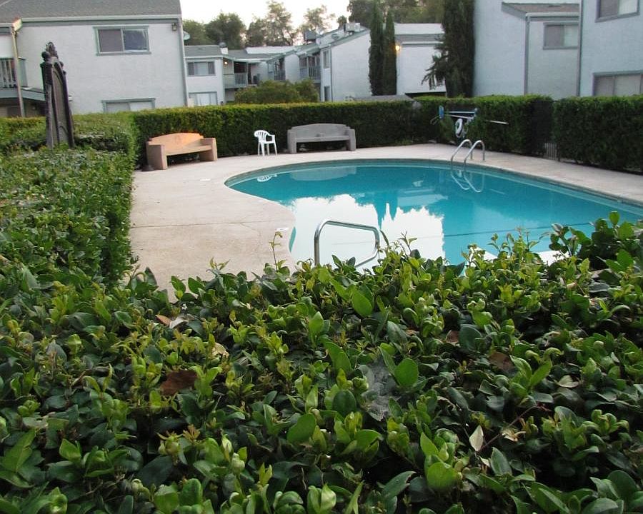 2nd image of 1100 Echo Rd APT 29