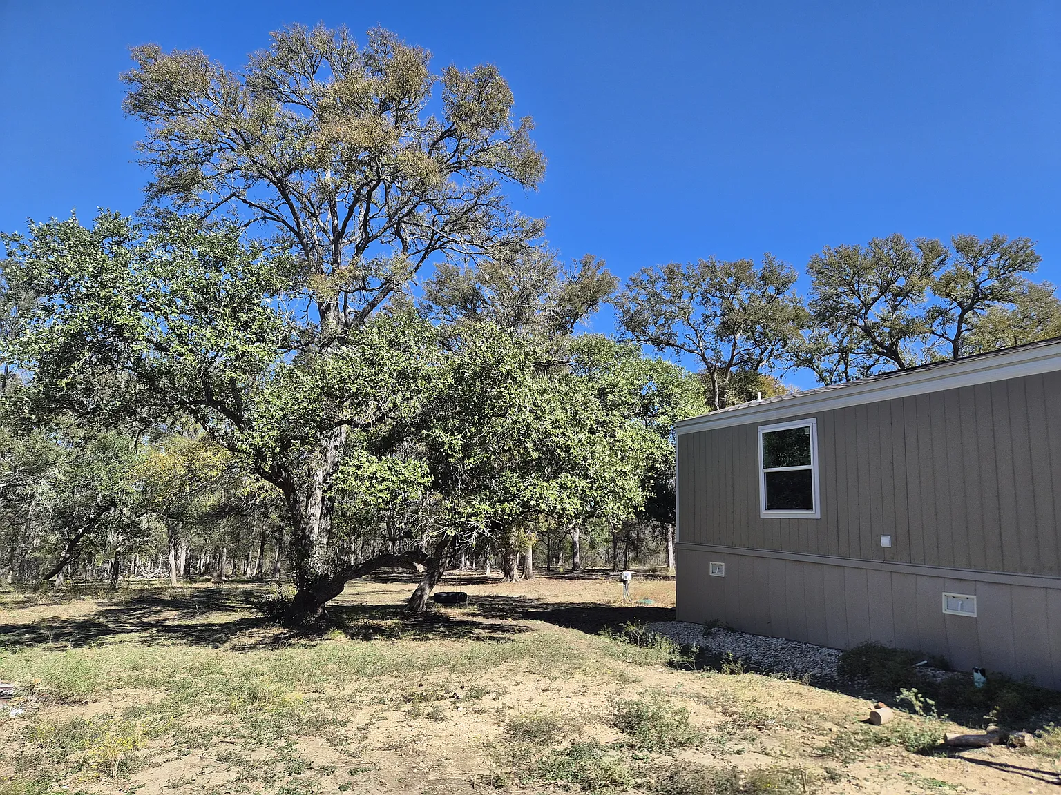 3 bed, 1000 sqft, $1,600 — Photo 1