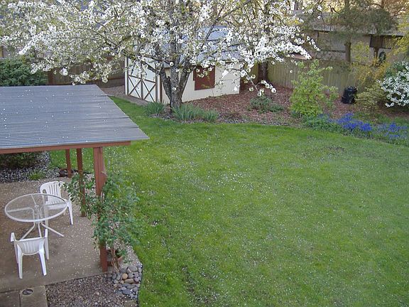 Backyard-left side