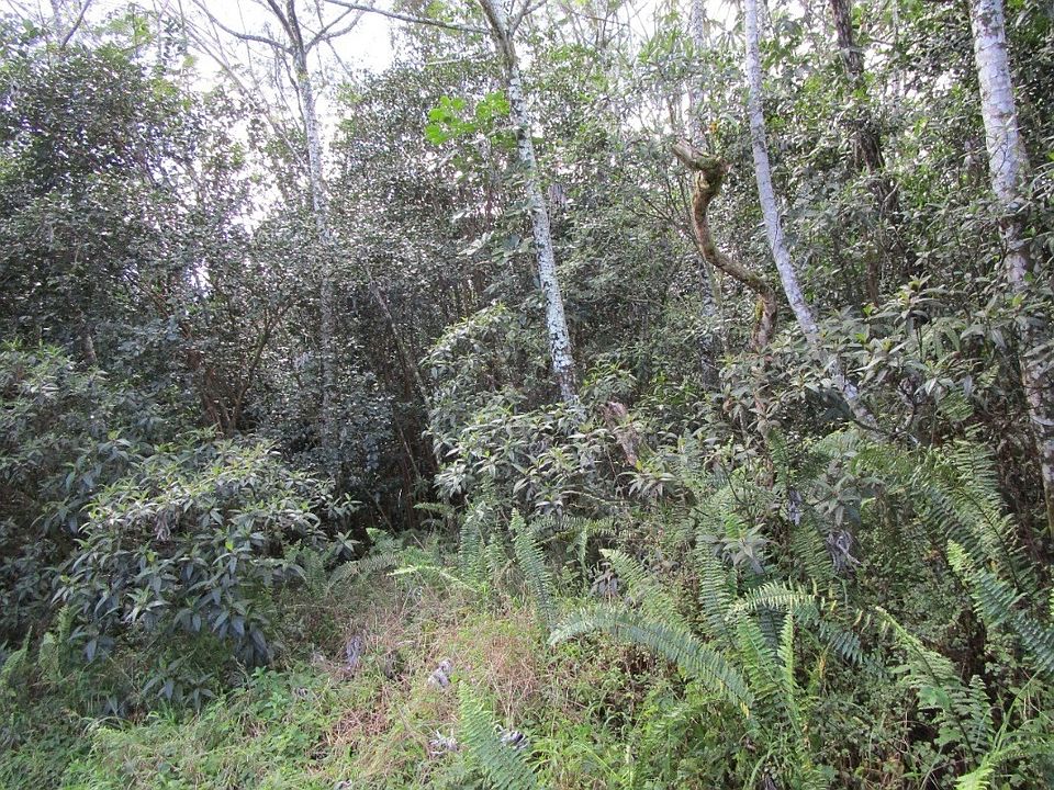 2nd image of 24th Ave Lot 1041