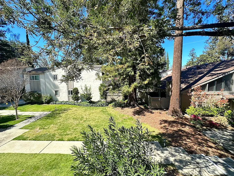 19820 Vineyard Ln — Photo 19