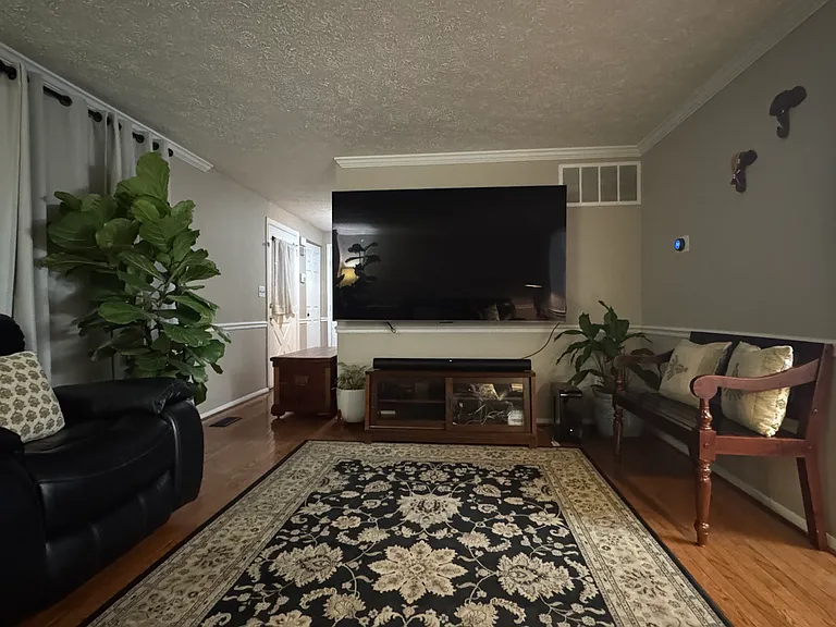 Living Room view 2