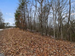 Tr4 Curtis Ridge Rd #4, Blue Ridge, GA 30513