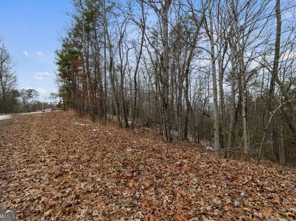 Tr4 Curtis Ridge Rd #4, Blue Ridge, GA 30513