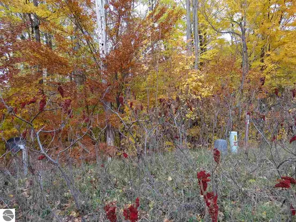 LOT 80 Eden St, Kingsley, MI 49649