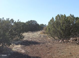 8588 Kaibab Ln, Show Low, AZ 85901