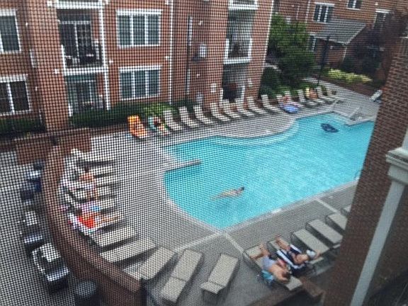 Pool View from Living Room