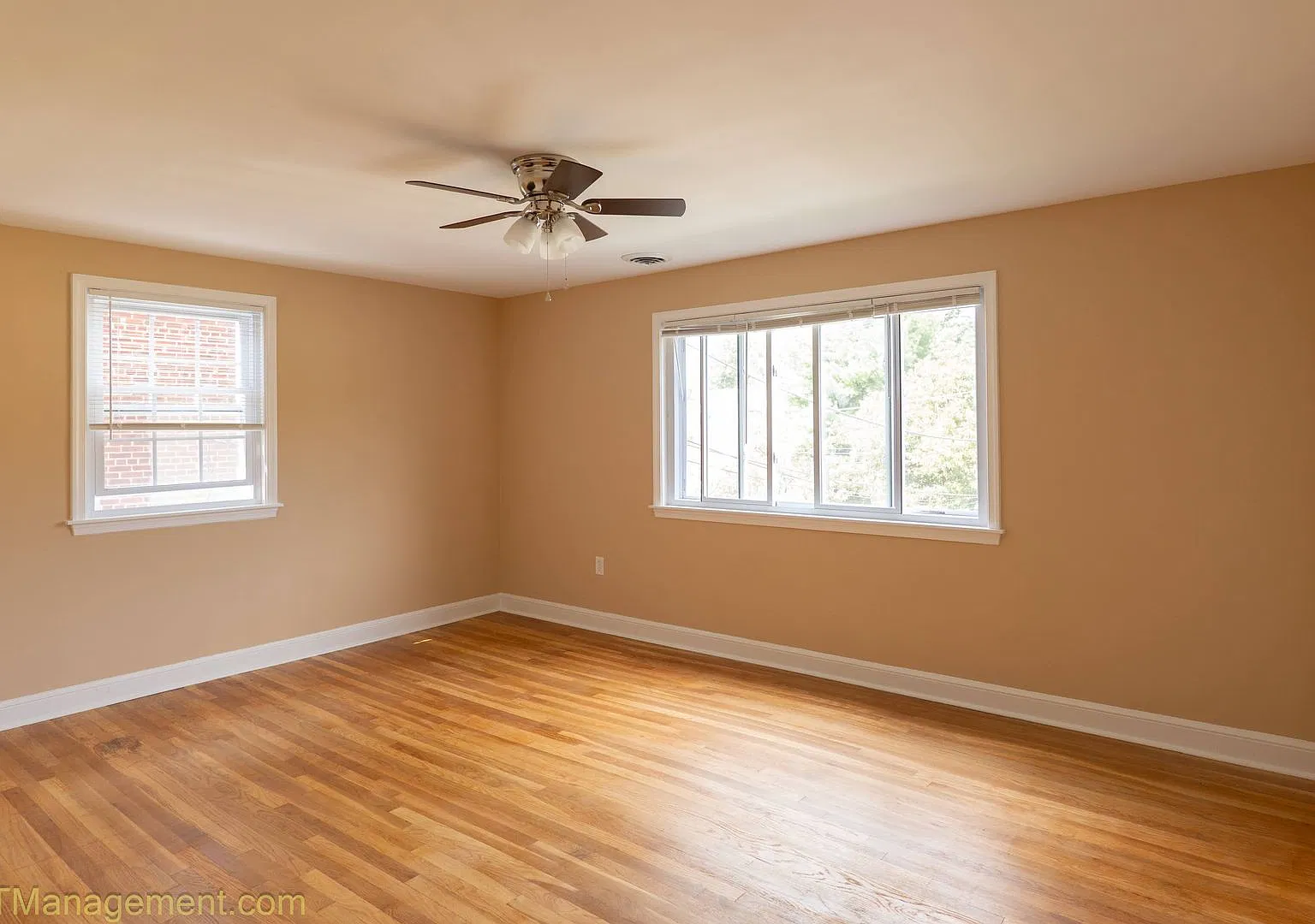 8805 Plymouth Street Fhy Properties, Llc — Photo 3
