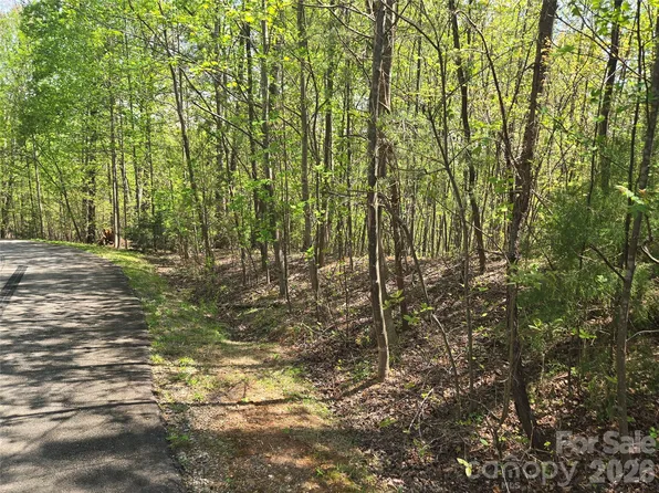 LOT 15 Touch Me Not Trl, Lake Lure, NC 28746