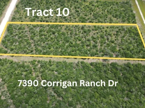 (undisclosed Address), Skidmore, TX 78389