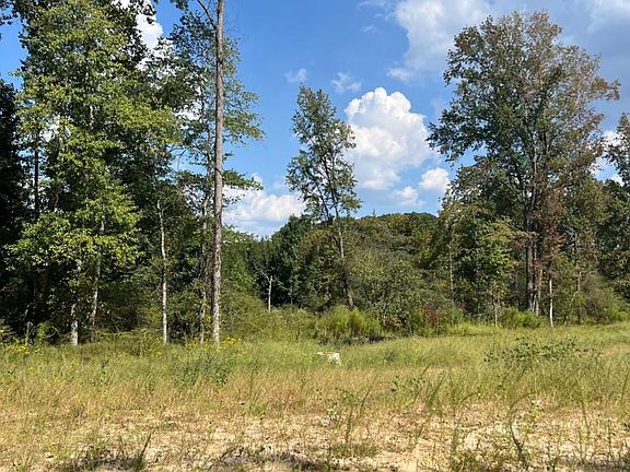 5th image of 512 Level Creek Rd