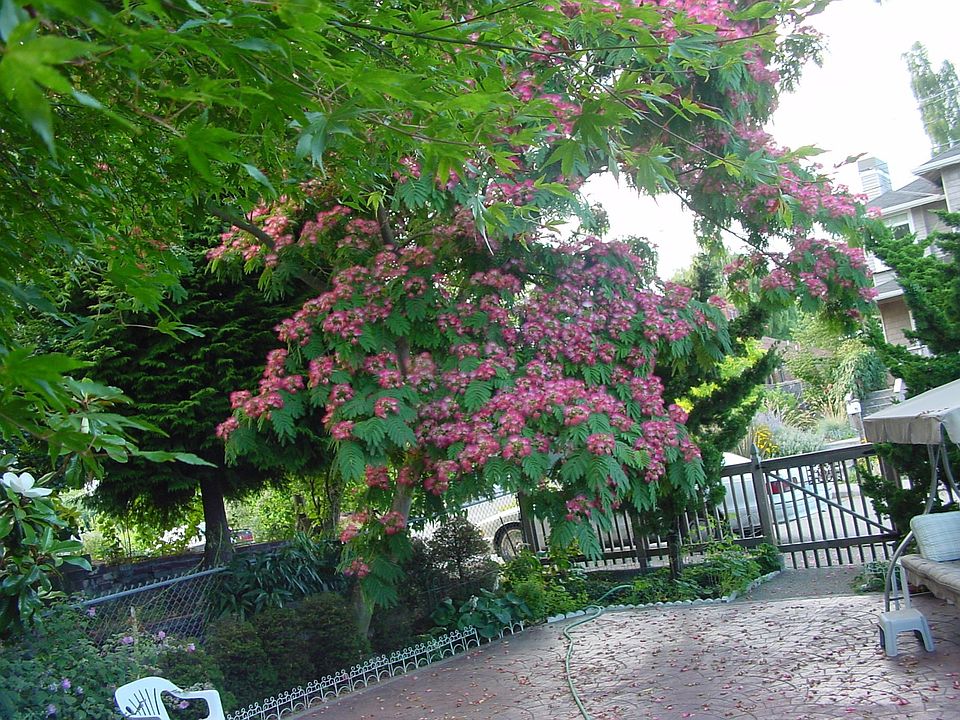 Front Patio