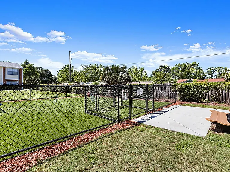 Dog Park