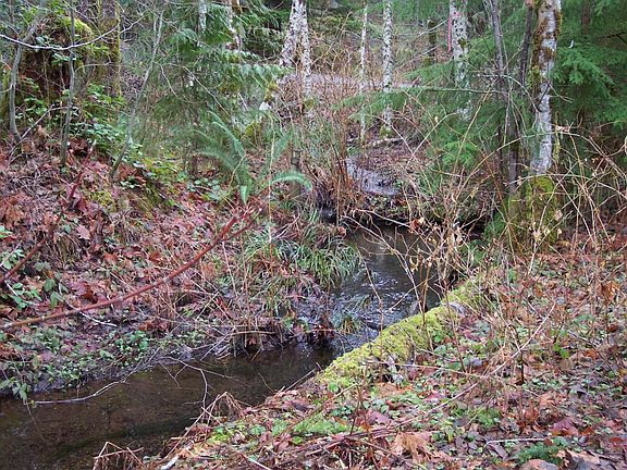 3rd image of 500 N Dow Mountain Dr
