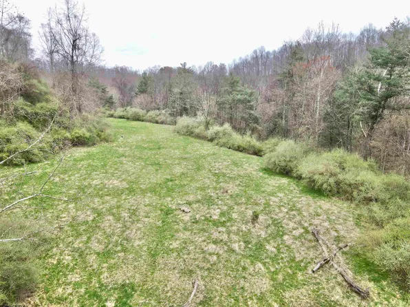 Cowskin Fork Rd, Duck, WV 25063