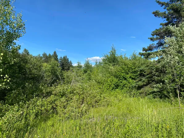 Lot 36-D Grimes Road, Caribou, ME 04736