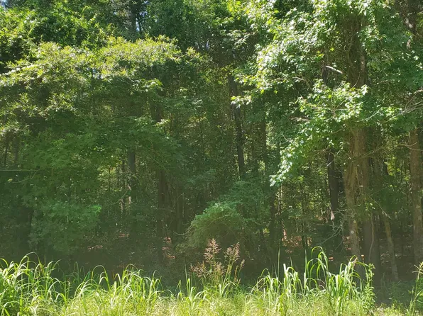 0 Offspring Ct, Sumter, SC 29153