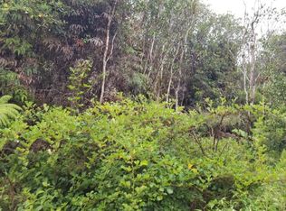 Road 8 LOT 499, Volcano, HI 96785