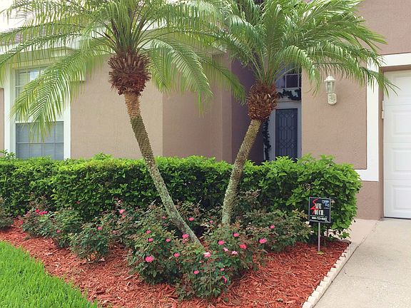 2nd image of 3105 Hanging Moss Cir