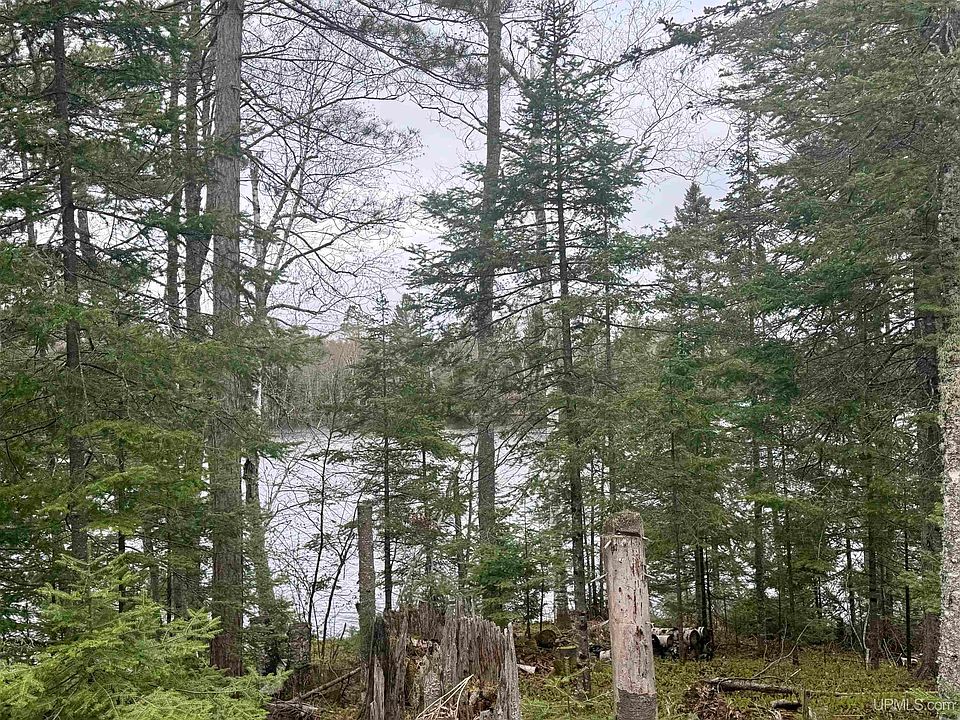 1st image of Horseshoe Lake Rd