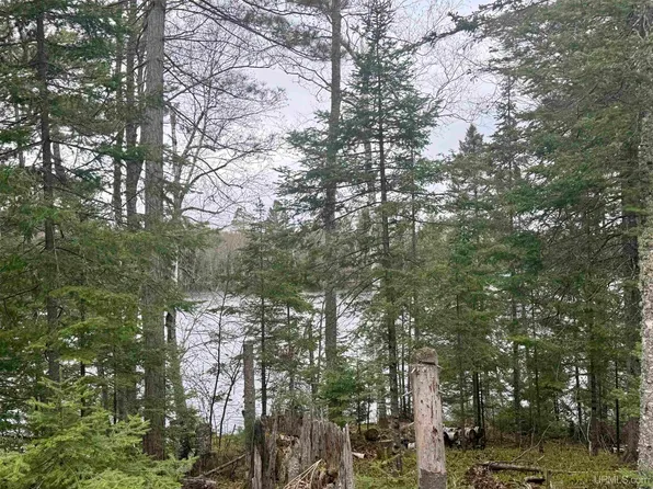 Horseshoe Lake Rd, Republic, MI 49879