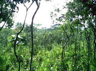 Beach Rd, Pahoa, HI 96778