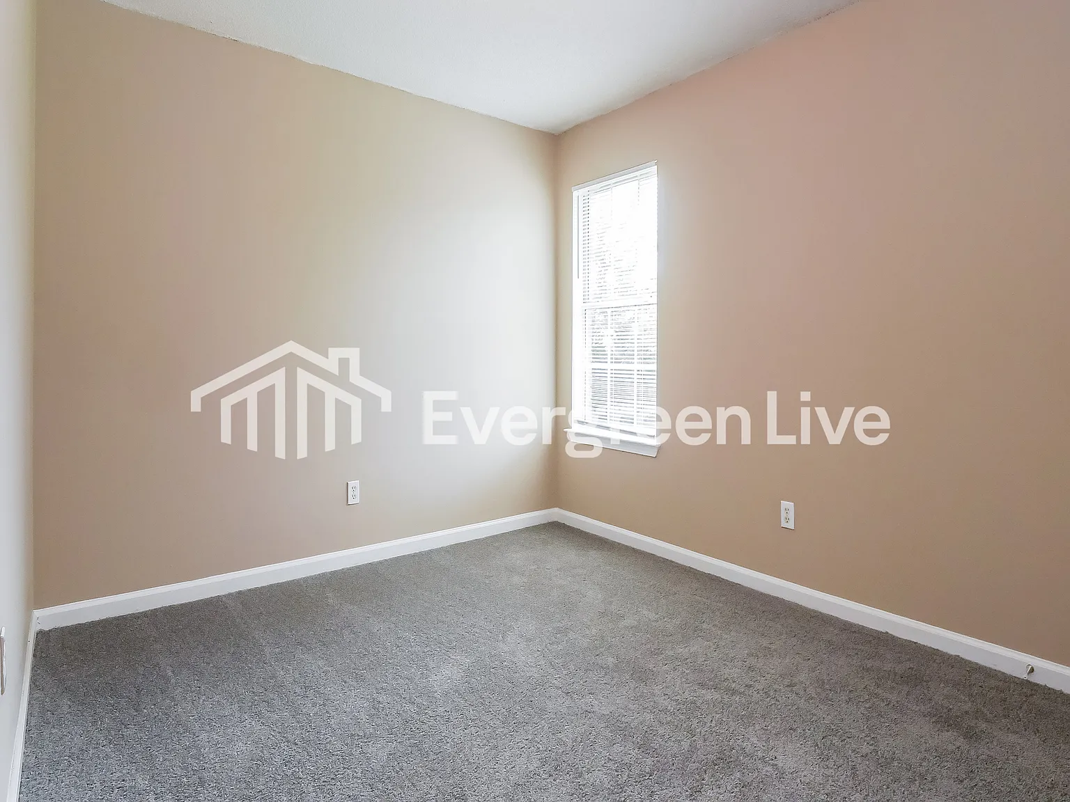 3 bed, 2.0 bath, 1270 sqft, $1,395 — Photo 4